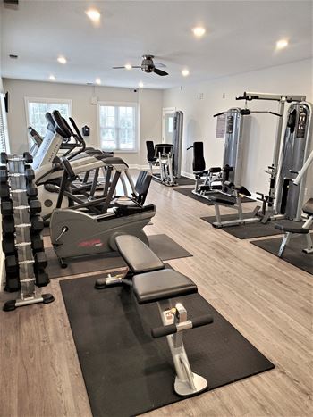 Free weights